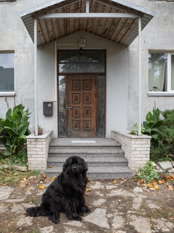 Korteriühistu trepi renoveerimine Tallinnas-18